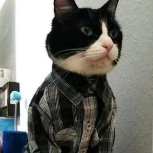 Meet your Posher, Tyler